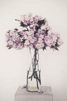 Hạnh Phúc, Ngươi Đến Chưa?