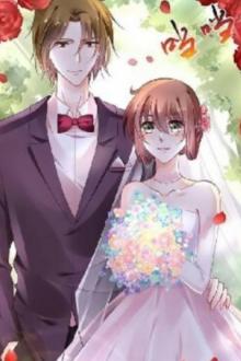 Xuyên Thành Nữ Phụ Trong Truyện Ngọt Văn