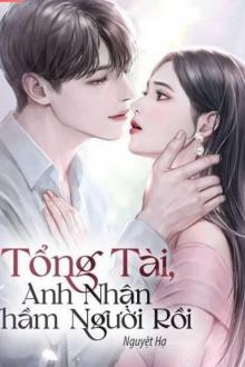 Tổng Tài, Anh Nhận Nhầm Người Rồi