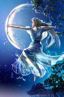 Ta Là Đệ Nhất Hảo Hán