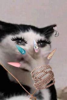 Ta Thả HaHa Vào Mặt Ngươi