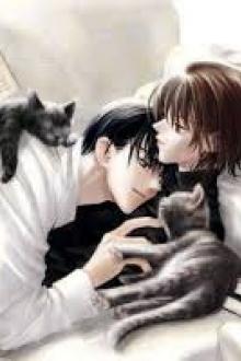 Không Trị Bệnh Đã Bị Sủng