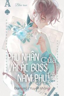 Phu Nhân Của Vai Ác Boss Là Nam Phụ