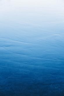 Thế Thân Của Người