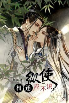 Xuyên Thư Tu Tiên Hy Truyện