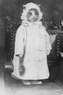 Ký Sự Sinh Hoạt Của Ma Cà Rồng