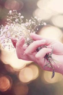 Gió Đêm Ấm Áp Hôn Môi Em