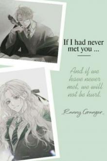 Nếu Như Chưa Từng Gặp Gỡ