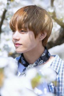 Khu Phố Nhỏ Có 7 Chàng Đẹp Trai