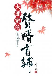 Thủ Phụ Ở Rể Nhà Phu Lang