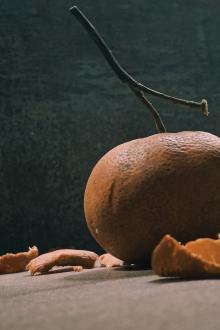 Chuyện Bà Tôi Kể