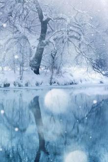 Mùa Đông Năm Ấy (Bác Chiến)