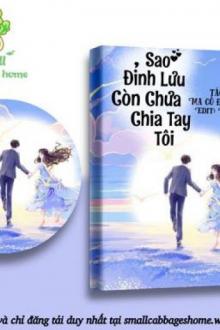 Sao Đỉnh Lưu Chưa Chia Tay Tôi