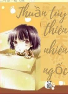 Thuần Túy Thiên Nhiên Ngốc