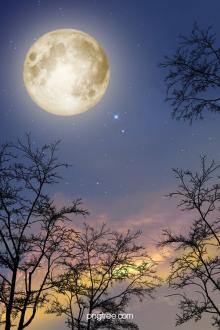 Sau Khi Xuyên Sách Tôi Được Bạn Cùng Phòng Cứu Vớt