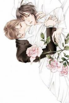 Tổng Tài , Ta Là Pháo Hôi A !