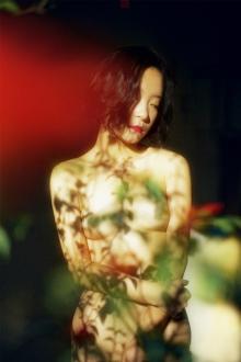 Trốn Tình Khó Thoát