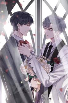 Phương Thức Ly Hôn Của Hào Môn