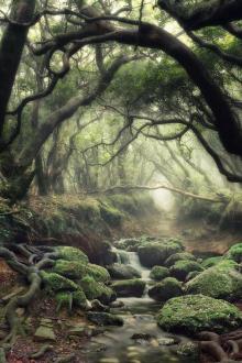 Chuyến Trekking Rừng Tả Liên Sơn Ám Ảnh