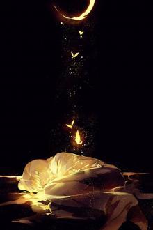 Lồng Giam Giấc Mơ