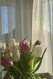 Nhật Ký Của Teresa