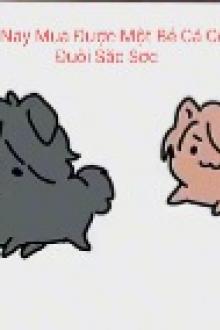 Hôm Nay Mua Được Một Bé Cá Có Cái Đuôi Sặc Sỡ