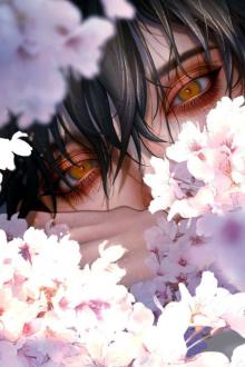 Không Thể? Chấp Nhận?