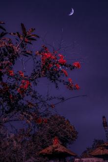 Xuyên Không: Cứu Rỗi Linh Hồn Đáng Thương