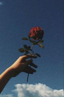 Thế Giới Của Người Thích Ngược