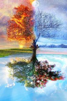 Thân Cận Đối Tượng Cùng Ta Giả Bạn Trai Có Một Chân