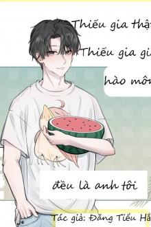 Thiếu Gia Thật, Thiếu Gia Giả Hào Môn Đều Là Anh Tôi