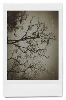 Ngoan Ngoãn Uống Thuốc Đừng Nóng Giận