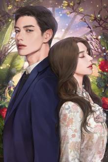 Tất Cả Mọi Người Đang Đợi Bọn Họ Ly Hôn