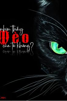 Có Nhìn Thấy Mèo Của Tôi Không?