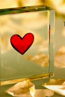 Thế Nào Là Tình Yêu Chân Chính