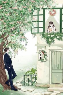 Mr. Thằn Lằn Ngoài Cửa Sổ