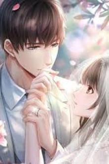 Người Tôi Thầm Mến Là Giáo Sư