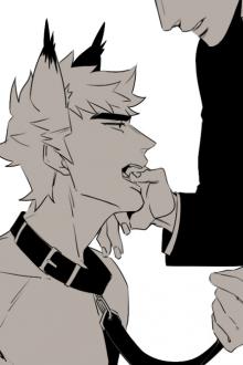 Tiếng Gọi Nơi Hoang Dã