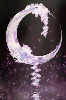 Ngoài Nàng Ta Không Cần Ai Khác