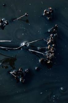 Vị Chủ Thần Này, Tôi Thật Sự Không Phải Người Tốt