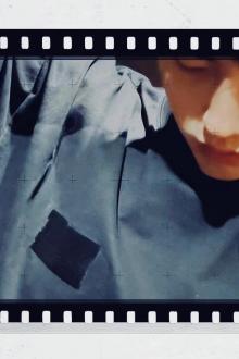 Sau Khi Trọng Sinh Tôi Không Muốn Làm Chim Hoàng Yến Nữa