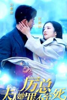 Lệ Tổng, Phu Nhân Tội Không Đáng Chết