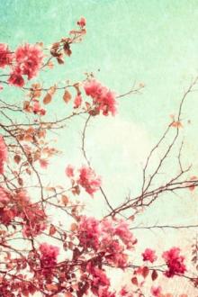 Tín Đồ Mơ Mộng Hão Huyền