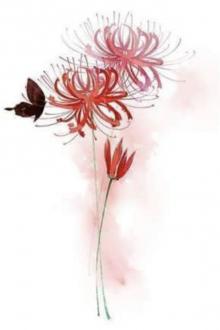 Sẵn Sàng Đánh Cược