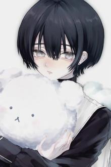 Thú Nhồi Bông Thì Làm Sao?