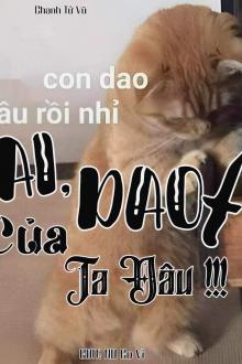 Ai, Dao Của Ta Đâu!