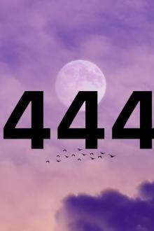 Văn Phòng Mai Mối Số 444