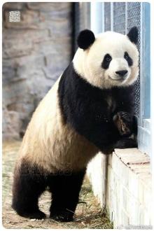 Từng Đem Tình Yêu Gửi Biển Rừng