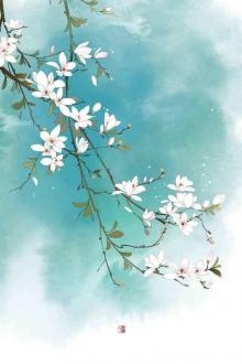 Bình Hoa Pháo Hôi Trọng Sinh Trở Về