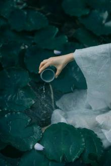 Từng Khinh Thường Ngoảnh Lại Hóa Tương Tư